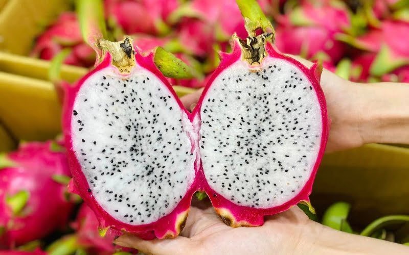 VIETNAM WHITE DRAGONFRUIT: The Vietnam White dragonfruit produces